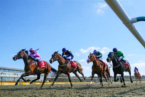 Additional fixtures explained: BHA’s Tom Byrne details the process behind scheduling additional..