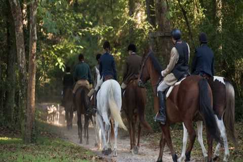 The Ultimate Guide to the Hitchcock Woods Foundation Trail Ride and Gala in Aiken, SC