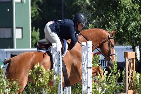 Unleashing the Equestrian Spirit: A Guide to the Aiken Horse Park Foundation