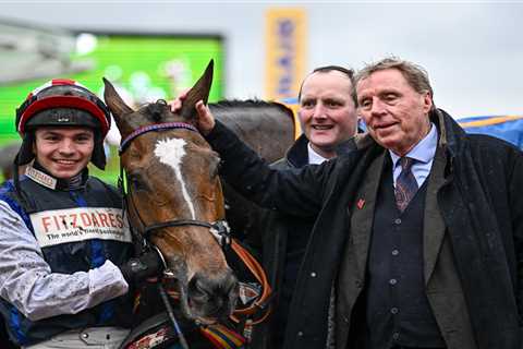 Harry Redknapp's Grand National Dream Crushed by Rule Change