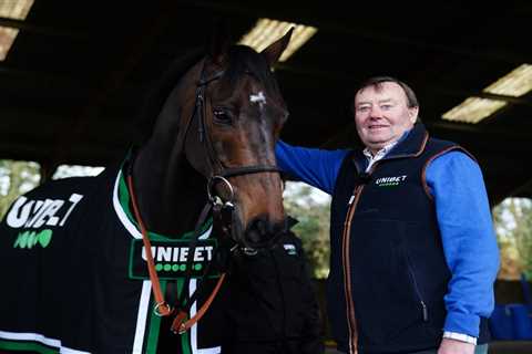 Nicky Henderson 'Traumatised' as Superstar Horse Constitution Hill Rushed to Hospital