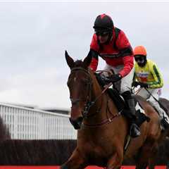 ‘Big ask’ but Ahoy Senor in good shape for Coral Gold Cup