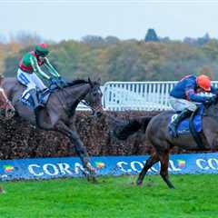 ‘He’s totally unexposed’ – 20-1 ante-post tip for Saturday’s Coral Gold Cup 🏆