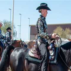 Experience the Thrill of Horse Shows in Scottsdale, Arizona