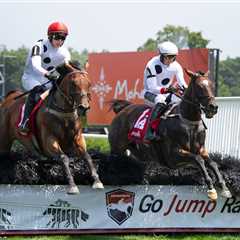 NYRA adds G1 Beverly R. Steinman to lucrative steeplechase program