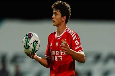 Manchester United willing to break club record for a midfielder to get Joao Neves in the summer –..