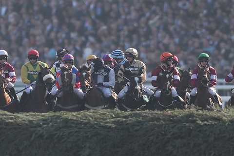 Templegate's Grand National Runner-by-Runner Guide