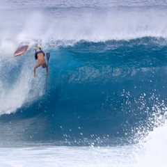 Pipeline SUP, Longboard Surfing Highlights 1/4/24 Da Hui Backdoor Shootout North Shore