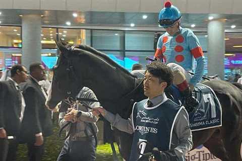 Japanese star Equinox retired to stud