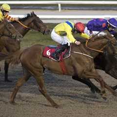 Gamble Alert: Horse smashed from 20-1 into 9-2 at Dundalk on Friday