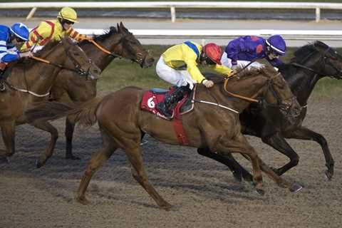 Gamble Alert: Horse smashed from 20-1 into 9-2 at Dundalk on Friday