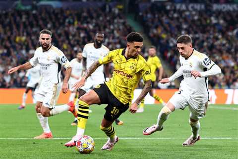 Dortmund boss Terzic lauds ‘brilliant’ Sancho after UCL defeat