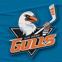 Gulls ink four to AHL contracts | TheAHL.com