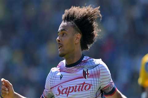 Manchester United offer Joshua Zirkzee contract worth €6 million per season – Man United News And..
