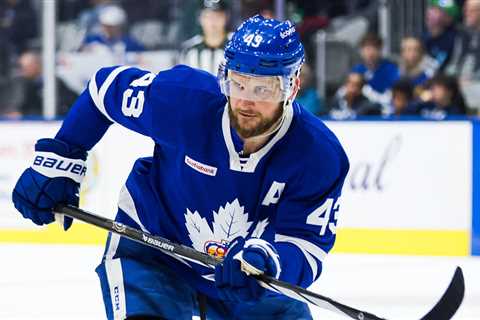 Marlies sign Clifford for 2024-25 season | TheAHL.com