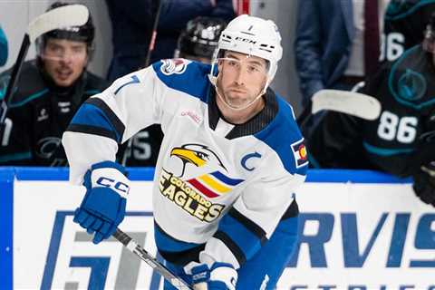 Bears add three-time All-Star Hunt to blue line | TheAHL.com