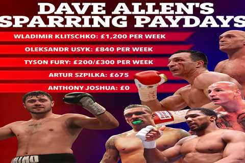 Boxer Reveals Earnings from Sparring Top Fighters