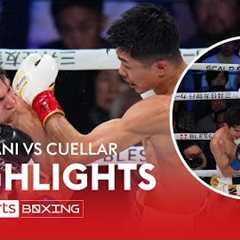 DEVASTATING 👀  Junto Nakatani v David Cuellar  WBC Bantamweight Title  Highlights