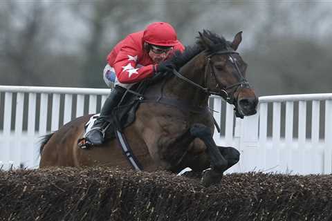 Aintree Showdown: Why I'm Backing The Old Boy Against Jonbon (And My Other Friday Picks)