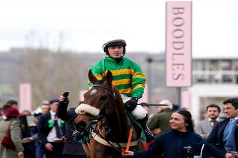 Bloody Hell, the Grand National's a Coin Toss This Year – But I'm Backing Iroko