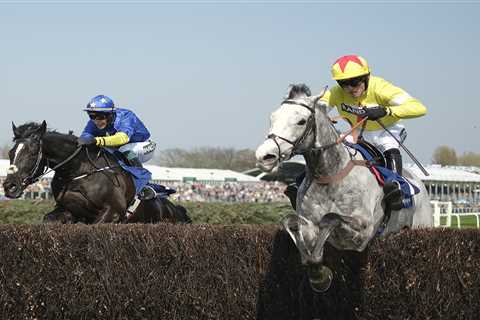The Novices' Chase at Aintree 2025: Results and Chaos from a Punter Who Lost His Shirt