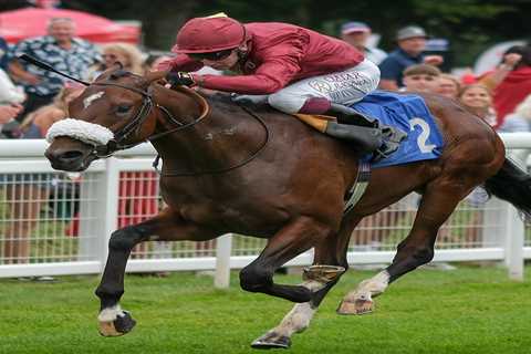 Racing world rocked as Qatar Racing pulls horses from Balding's yard