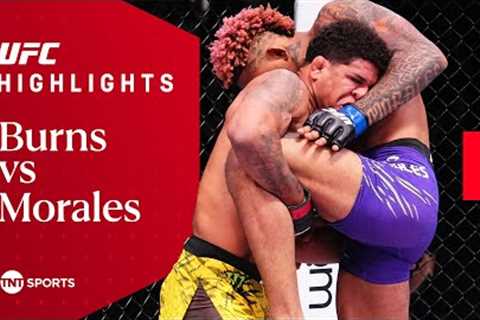 RAPID TKO FINISH! 💨  Gilbert Burns vs Michael Morales  UFC Fight Night Highlights