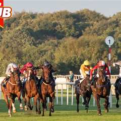 Sun Club's Racing Deal: Four Free Tickets Every Quarter (And Why I'm Actually Tempted)