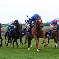 This Filly Could Beat the Boys – And I'd Put Money on It