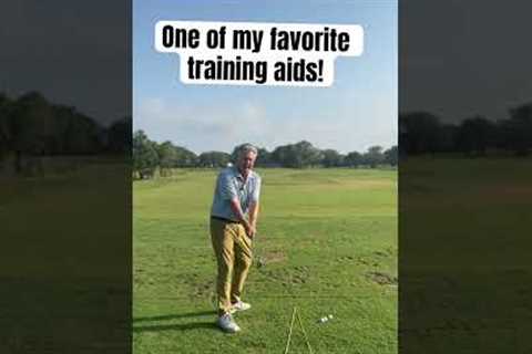 One of my favorite training aids for face angle!