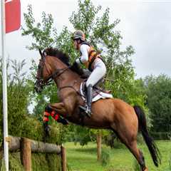 Maximizing Your Presence at Equine Events in Southwest Washington