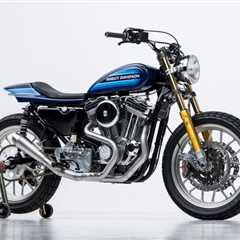 Work in Progress: A flawless Harley Sportster 883 by Mule