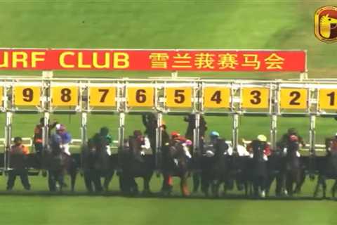 Brazilian Jockey Vanishes After That Suspicious Fall Everyone's Talking About