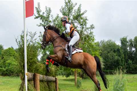 Maximizing Your Presence at Equine Events in Southwest Washington