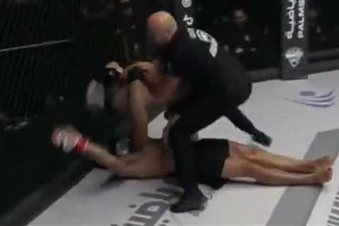 EXCLUSIVE: Referee Races to Help Unconscious MMA Star in Shocking KO Drama!