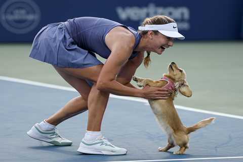 This Tennis Dog Just Became My New Hero (And Emma Raducanu Got Crushed)