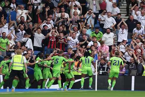 Brighton 1 Fulham 1: Muniz Scores in the 96th Minute Then Celebrates With the Wrong Bloody Fans