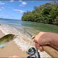 Papio Whipping on Kauai | Bubble and Fly | Fishing Hawaii | Shore Fishing Kauai