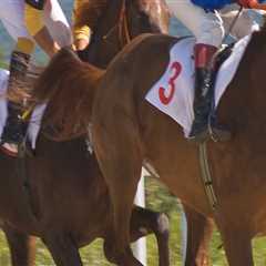 The Expert's Guide to Registering Your Horse for a Show in Northeast Ohio