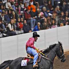 Exploring the All-Breed Horse Shows in Northeast Ohio