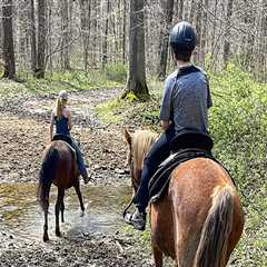 The Insider's Guide to Horse Shows in Northeast Ohio
