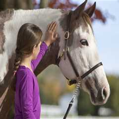 The Ultimate Guide to Registering for Horse Shows in Northeast Ohio: An Expert's Perspective