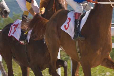 The Expert's Guide to Registering Your Horse for a Show in Northeast Ohio