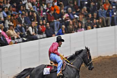 Exploring the All-Breed Horse Shows in Northeast Ohio