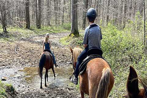 The Insider's Guide to Horse Shows in Northeast Ohio