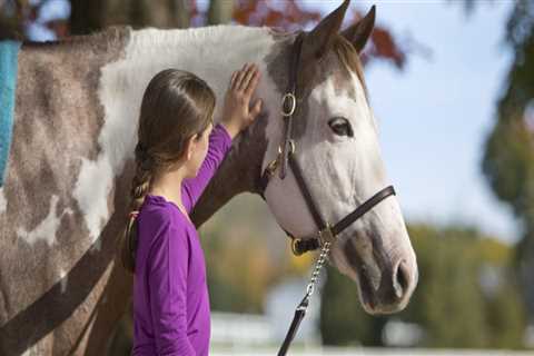 The Ultimate Guide to Registering for Horse Shows in Northeast Ohio: An Expert's Perspective