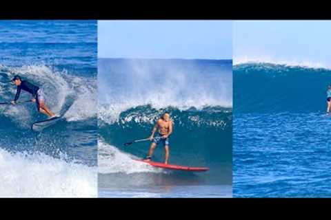 SUP Surfing Haleiwa, Avalanche, Pua''ena North Shore Hawaii | 11/1/25 | Surfing , Paddle, Foil