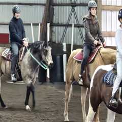 Hosting a Horse Show in Northeast Ohio: Planning Tips for Local Farms and Arenas